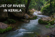 കേരളത്തിലെ നദികൾ | List of Rivers in Kerala